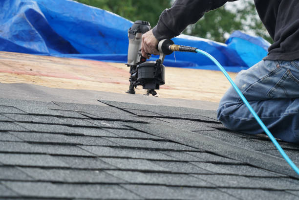 Best Flat Roof Repair Services  in Robbins, IL