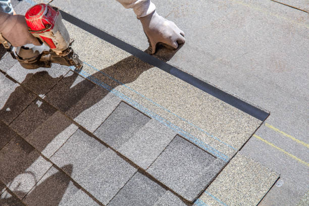 Best Roof Waterproofing Services  in Robbins, IL