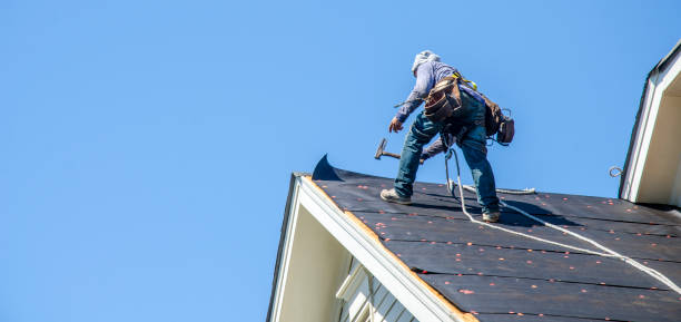 Best Flat Roof Repair Services  in Robbins, IL